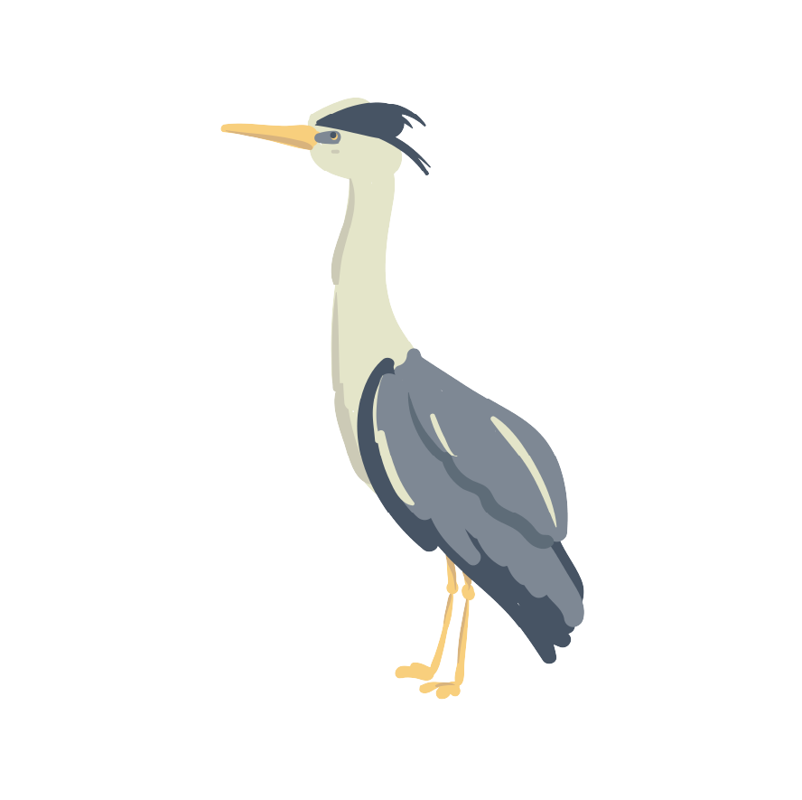 Elementos-03