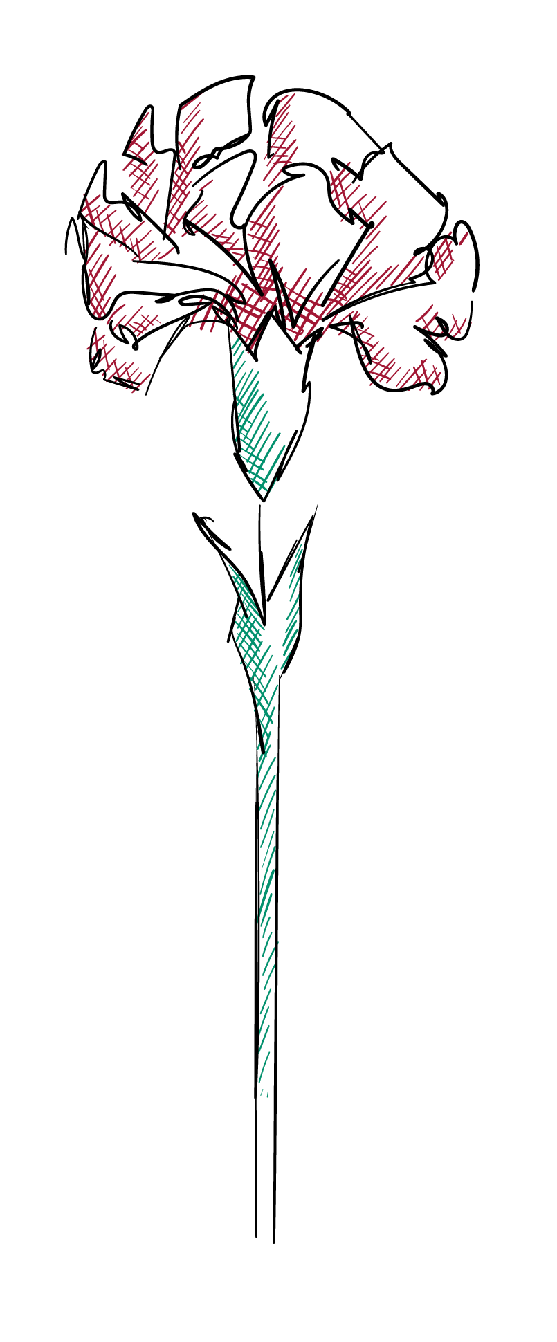 AML-08